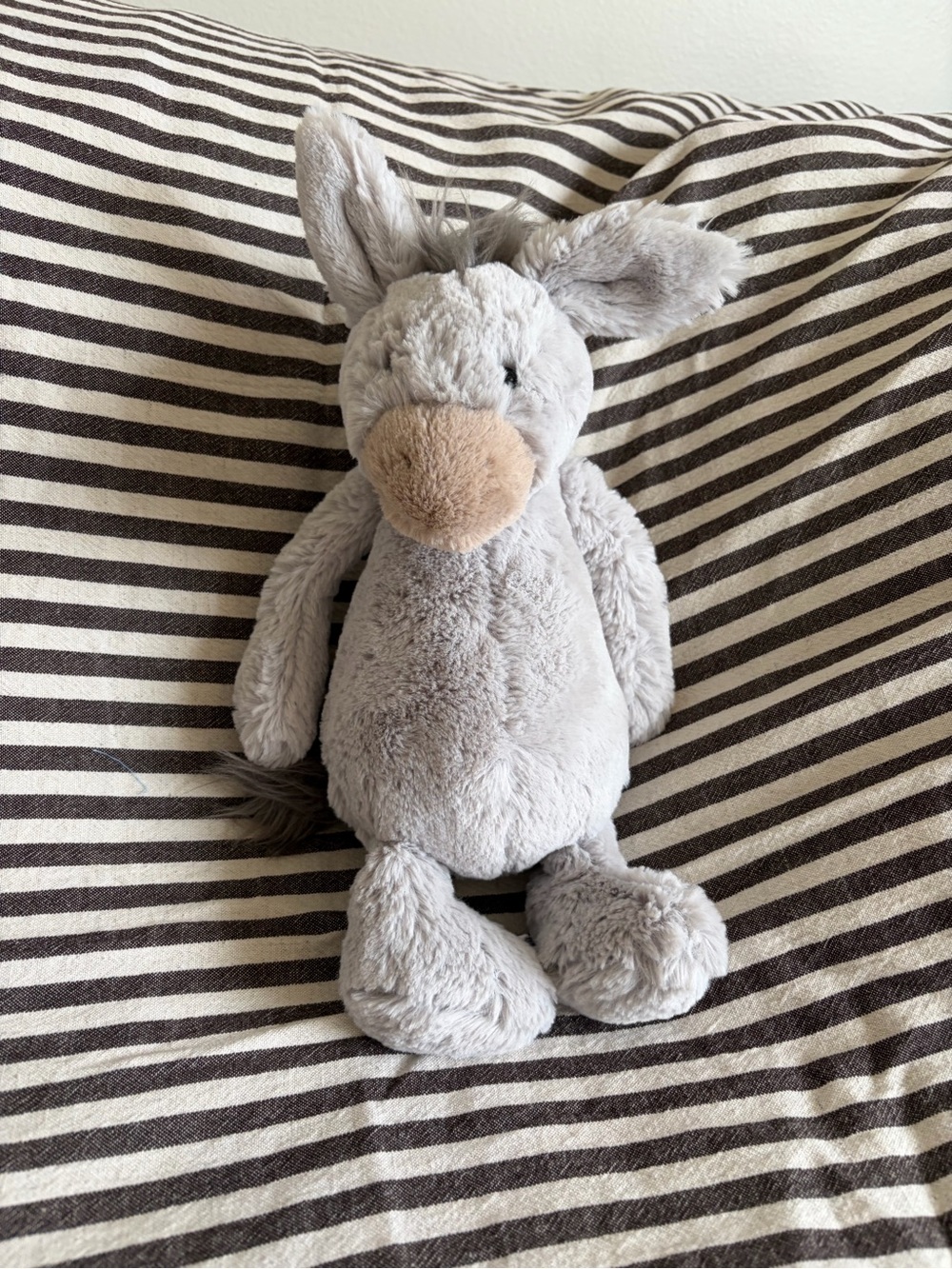 Jellycat Bashful Donkey.